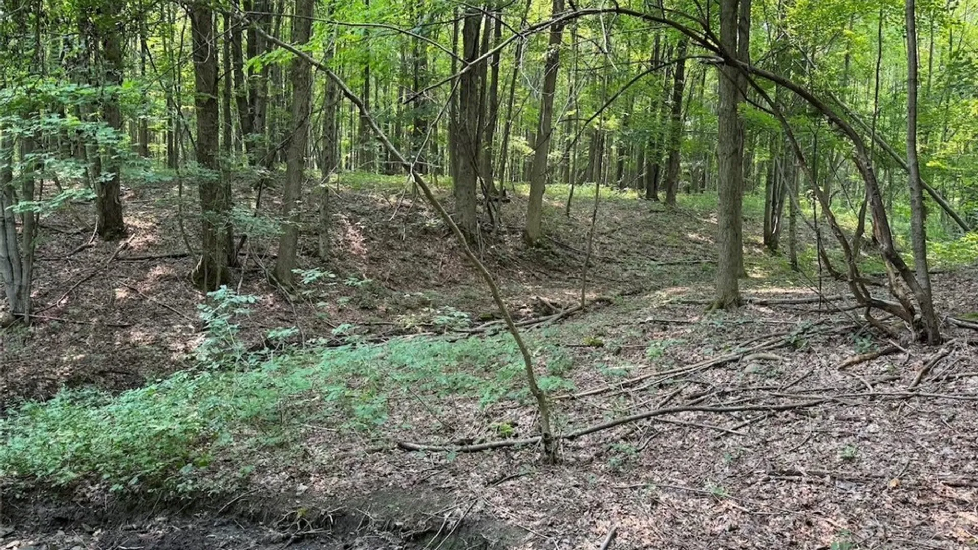 Property at Allen Road, Sardinia, NY 14055 6