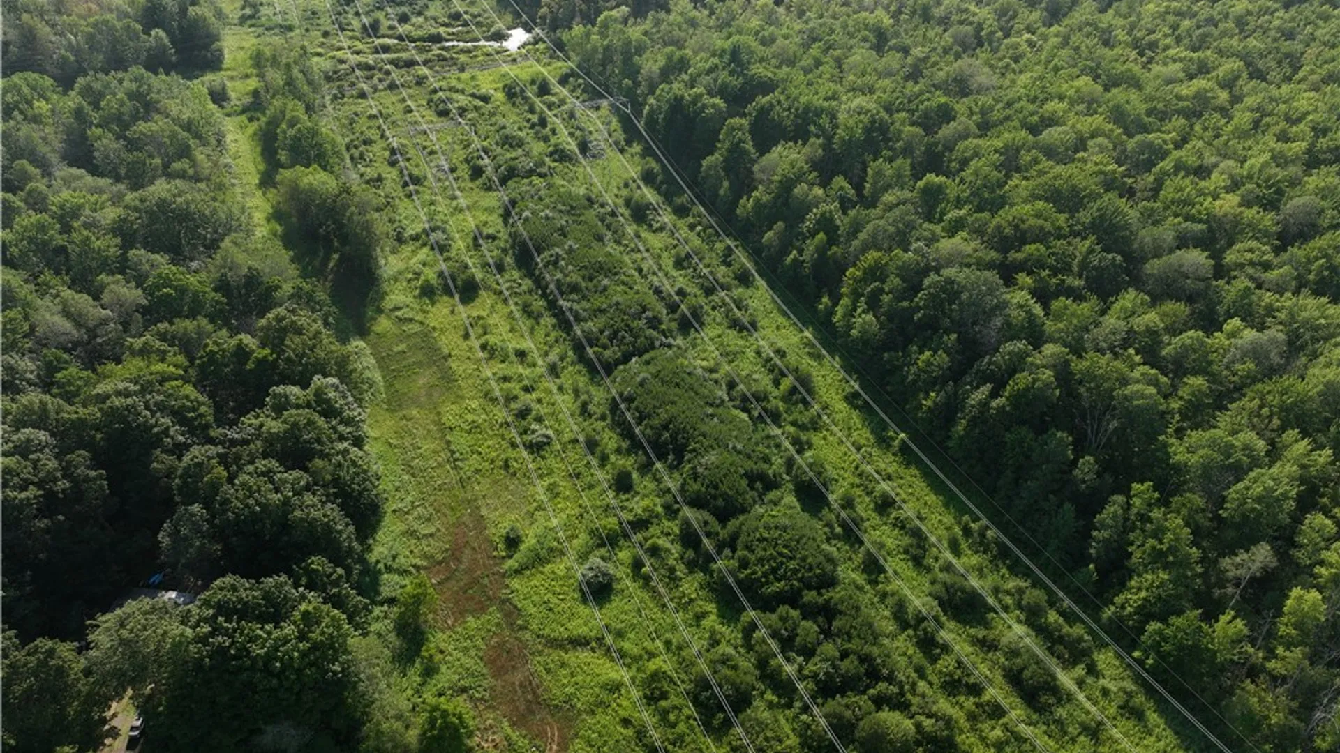 Property at 8643 Smokey Hollow Road, Lysander, NY 13027 12