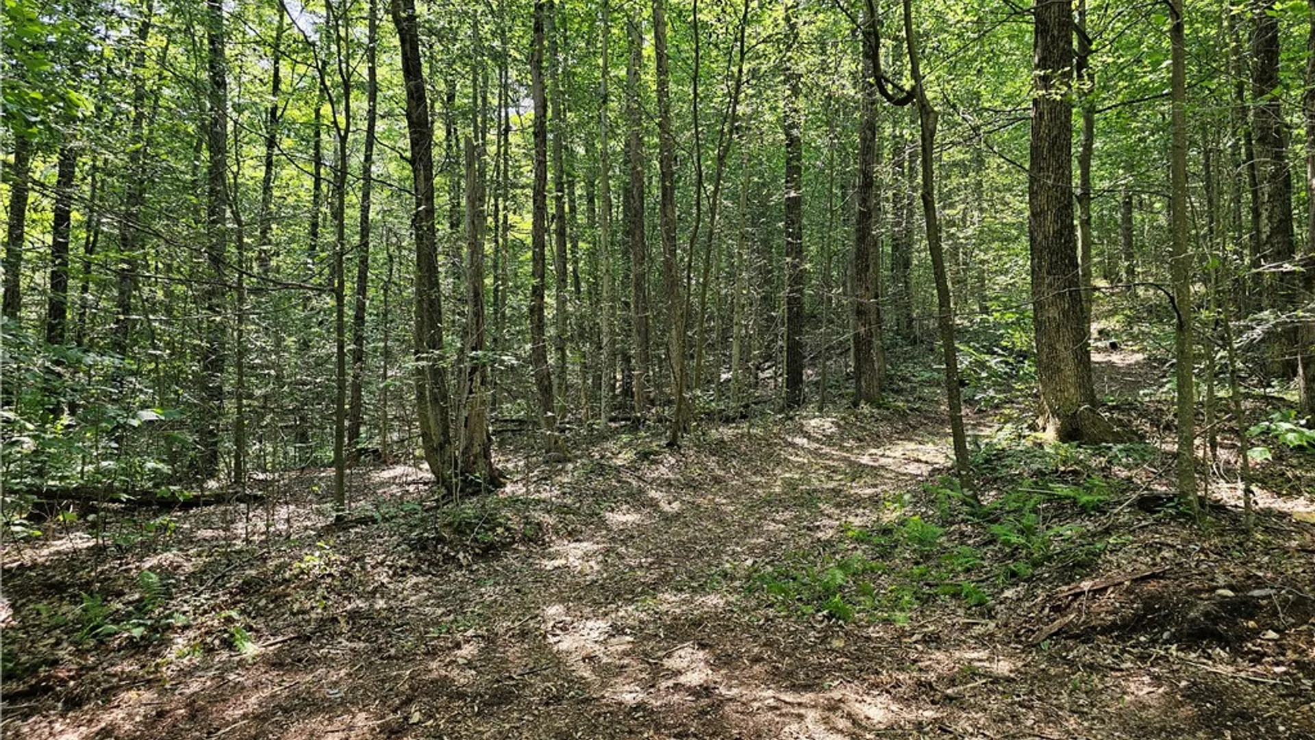 Property at Cayward Road, Prattsburgh, NY 14873 7