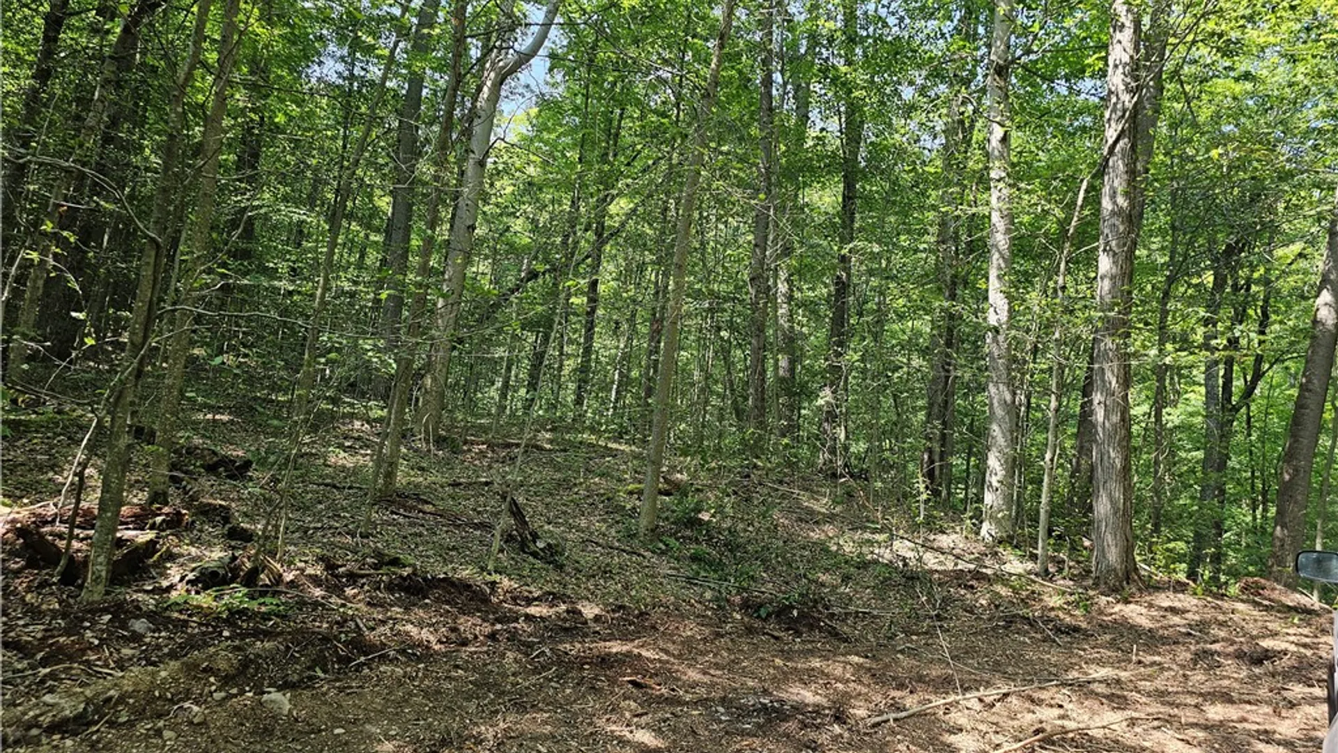 Property at Cayward Road, Prattsburgh, NY 14873 9