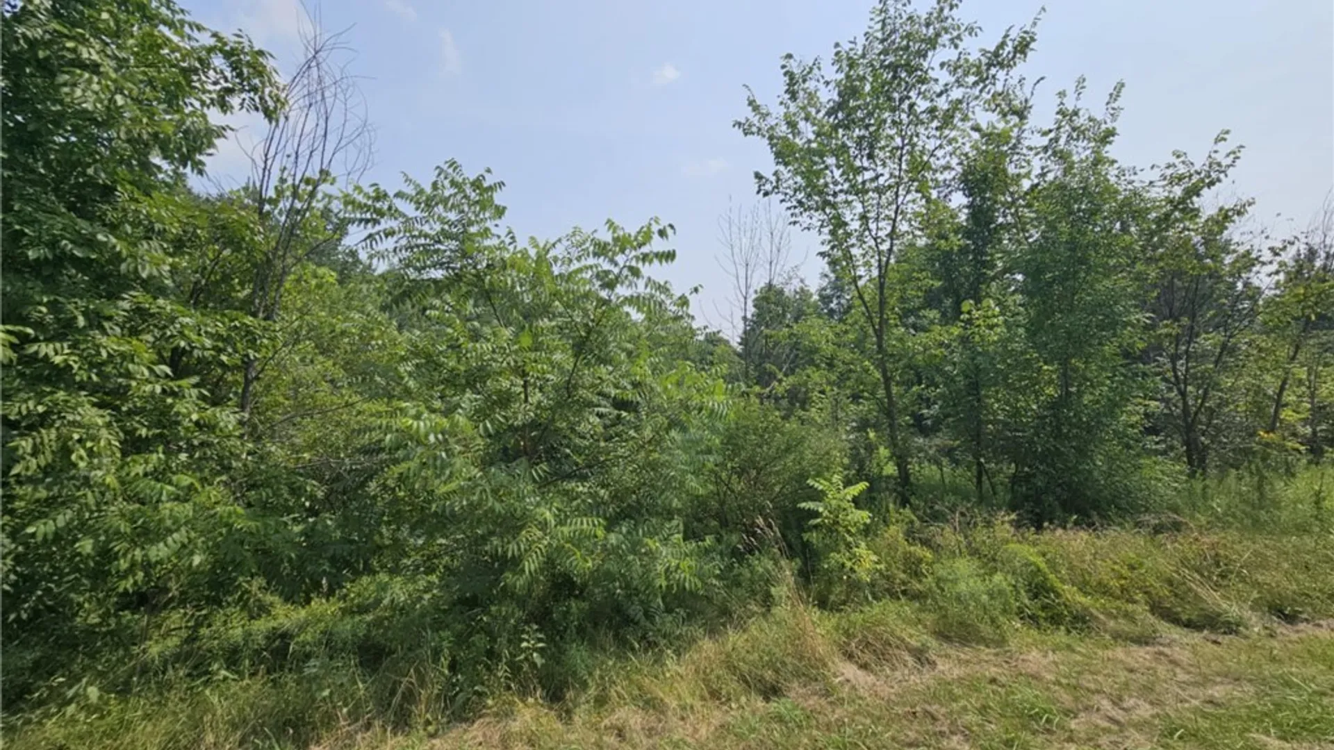 Property at County Route 37, West Monroe, NY 13167 4