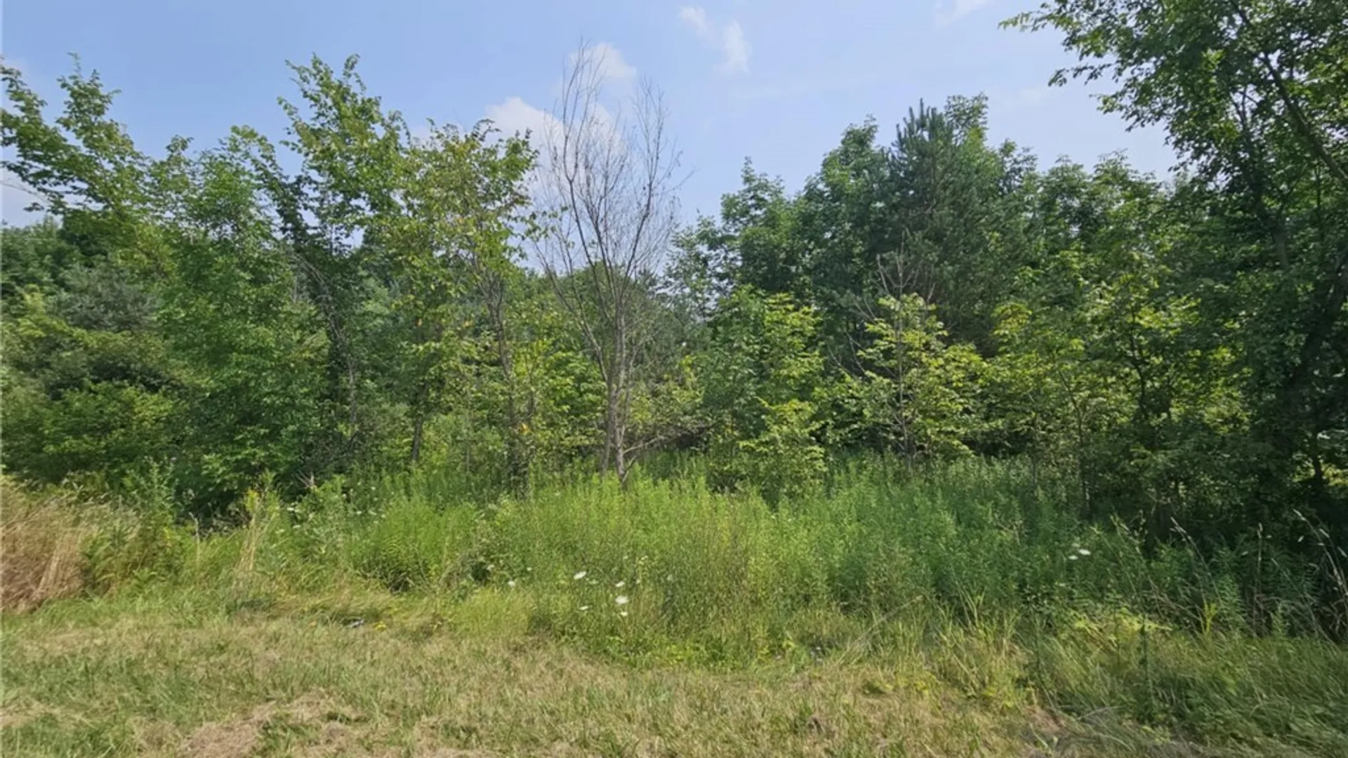 Property at County Route 37, West Monroe, NY 13167 5