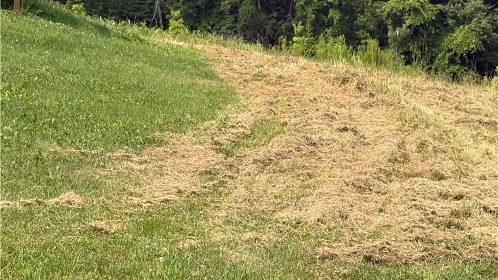 Property at 1037 County Road 36, Norwich, NY 13815 18