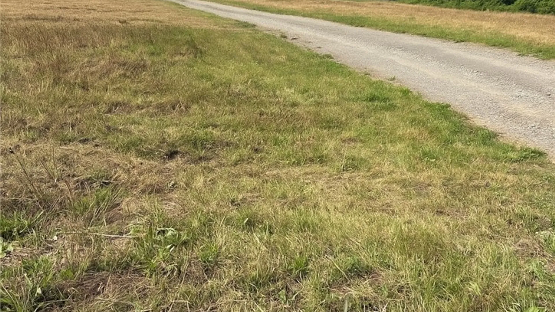 Property at 1037 County Road 36, Norwich, NY 13815 5