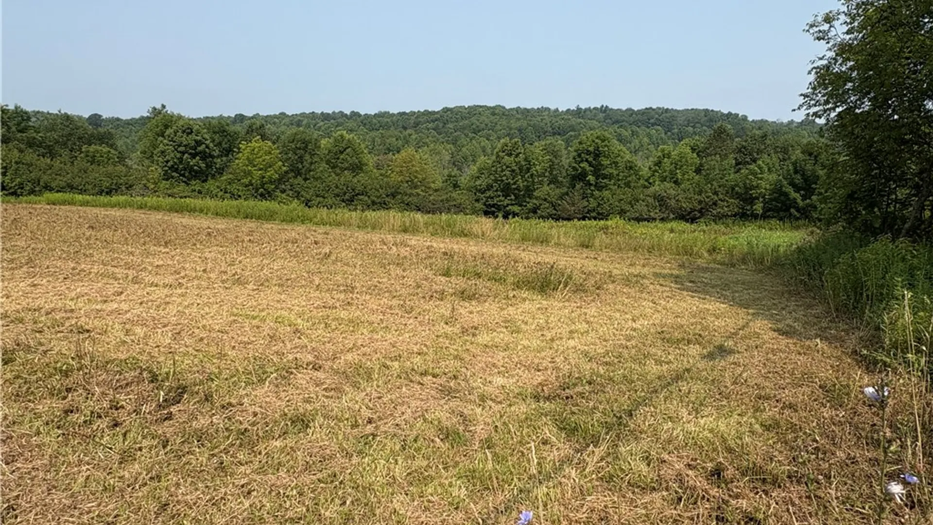 Property at 1037 County Road 36, Norwich, NY 13815 7