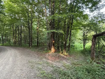Property at Dutch Hill Road, Cincinnatus, NY 13040