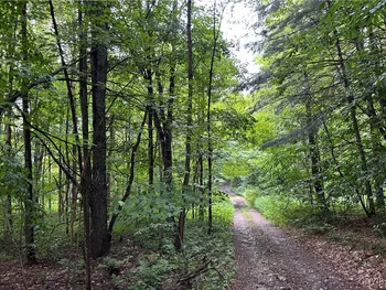 Property at Rt-13, Williamstown, NY 13302