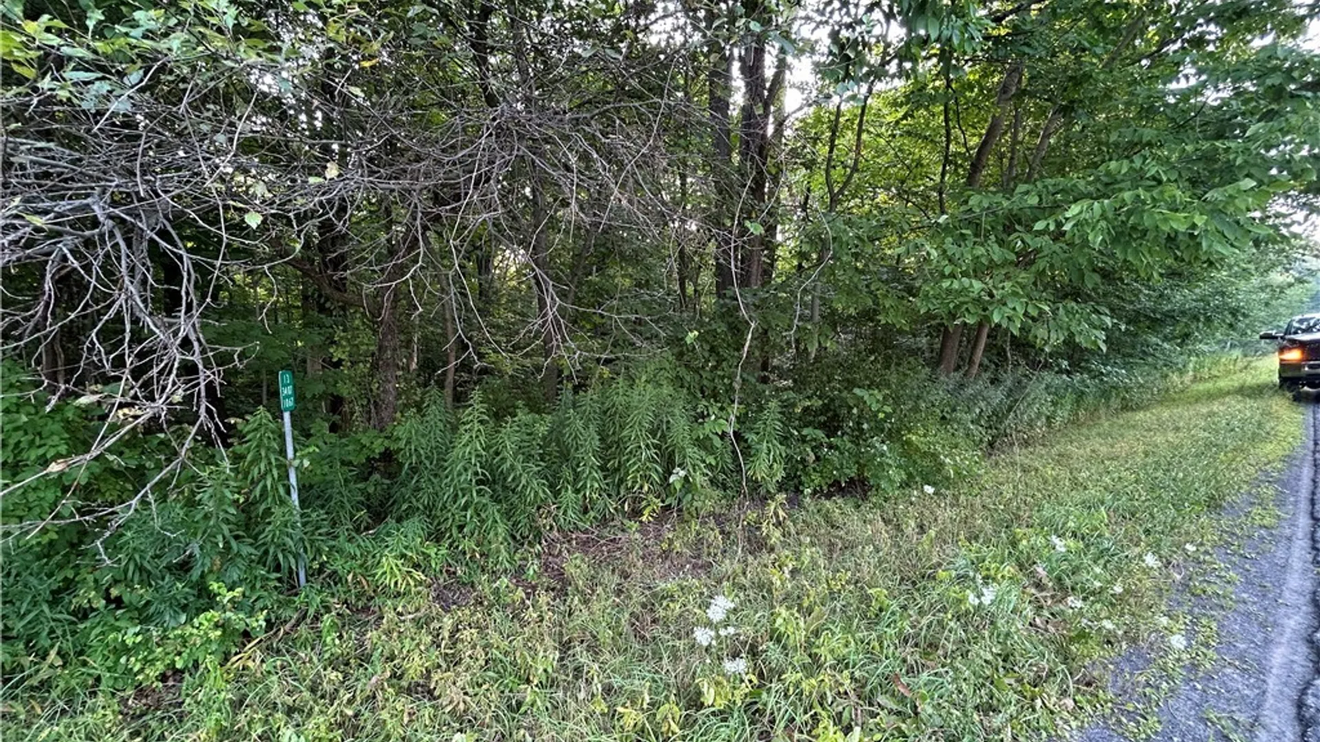 Property at Rt-13, Williamstown, NY 13302 2