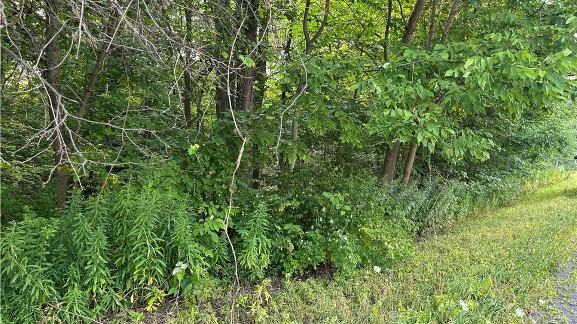 Property at Rt-13, Williamstown, NY 13302 3