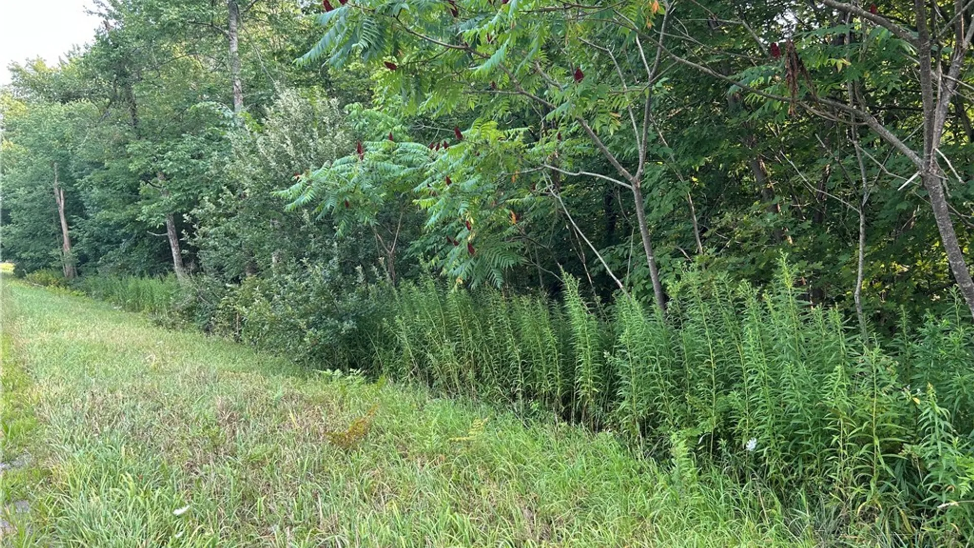 Property at Rt-13, Williamstown, NY 13302 4