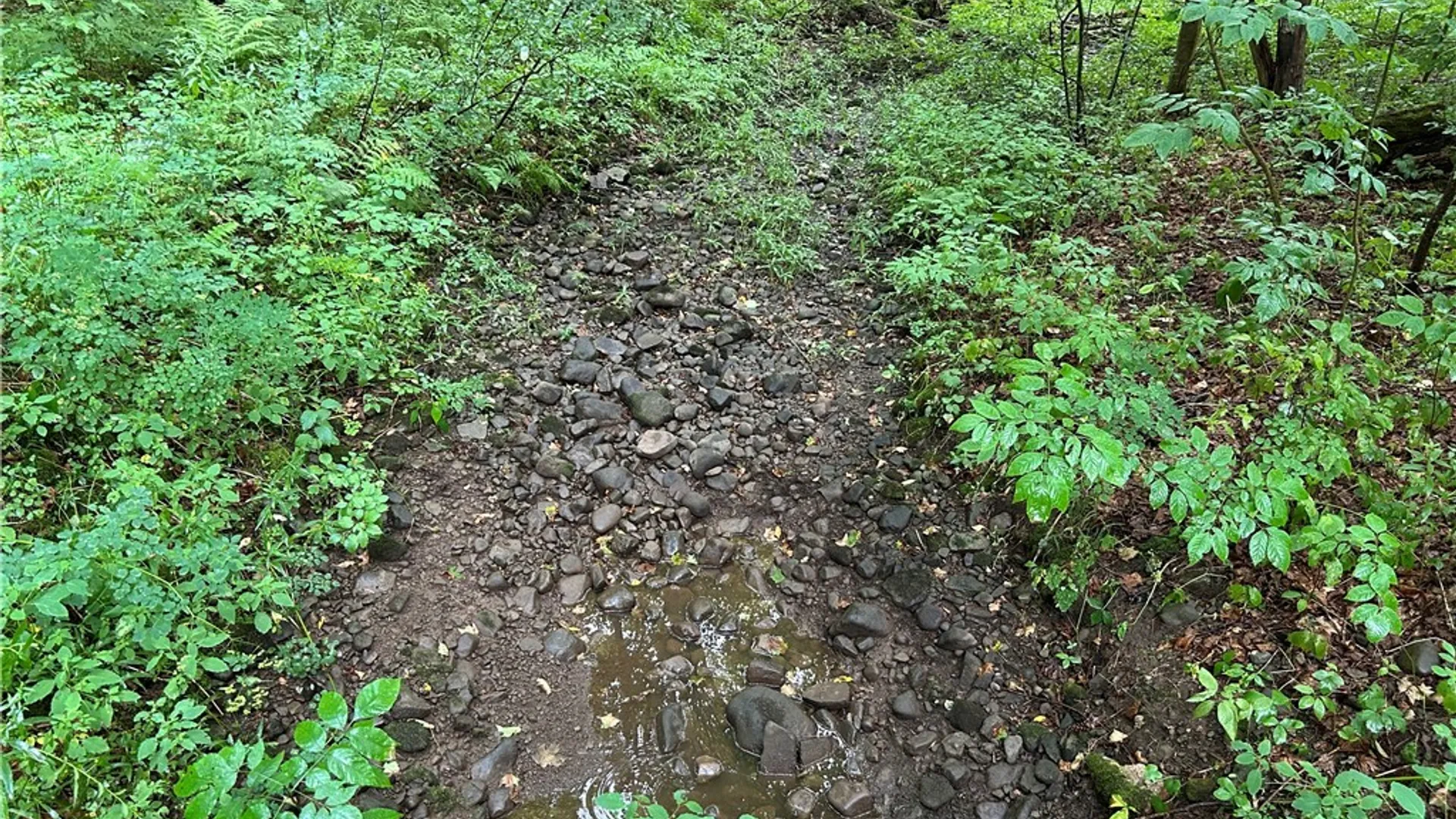 Property at Rt-13, Williamstown, NY 13302 6