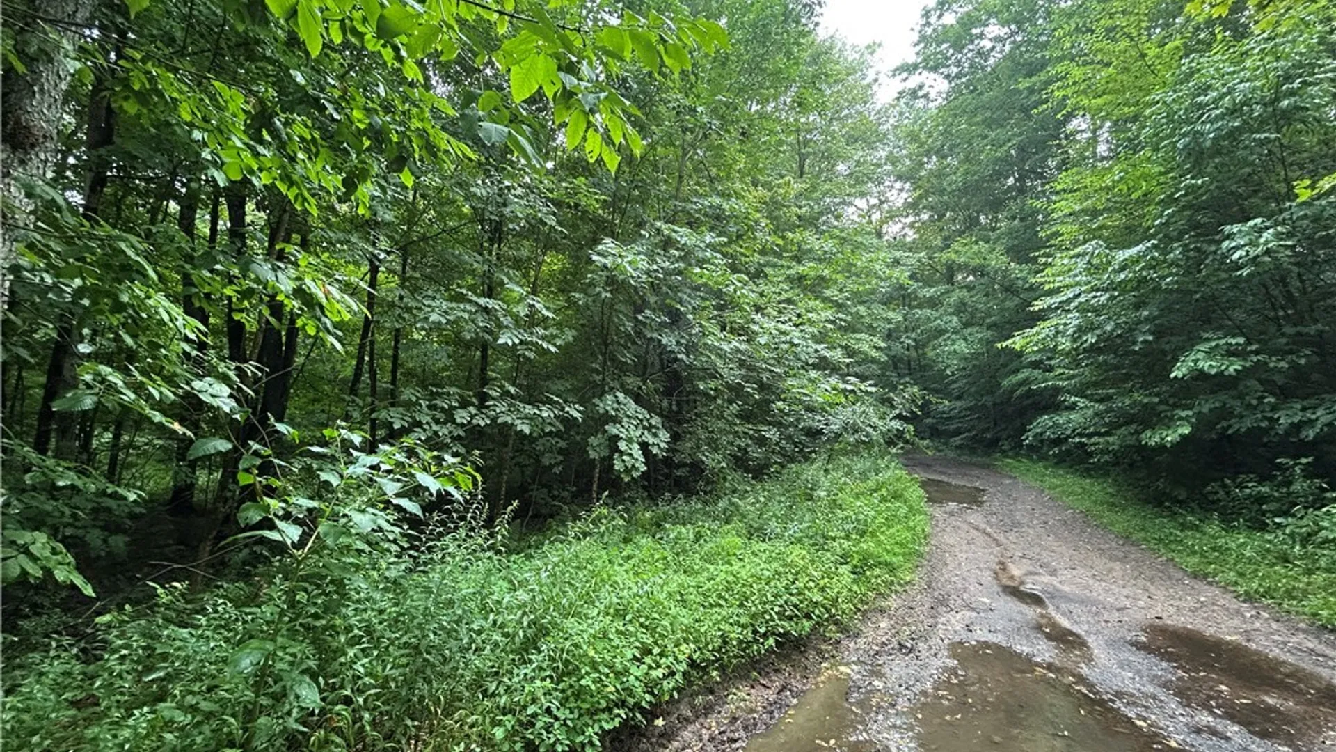 Property at Rt-13, Williamstown, NY 13302 7