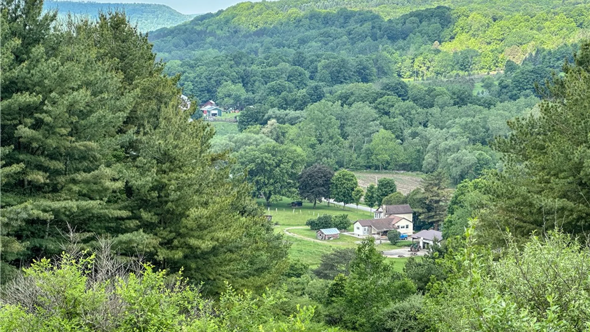 Property at 281 County Route 32, Almond, NY 14807 46