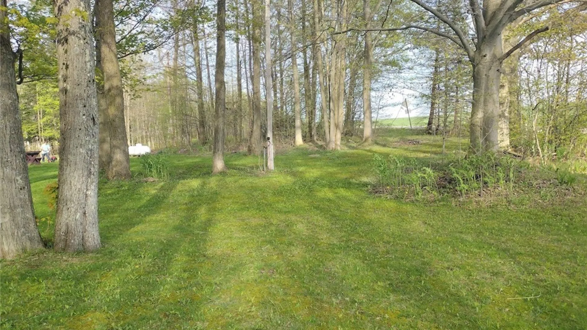 Property at 9924 Bailey Hill Road, Mina, NY 14736 11