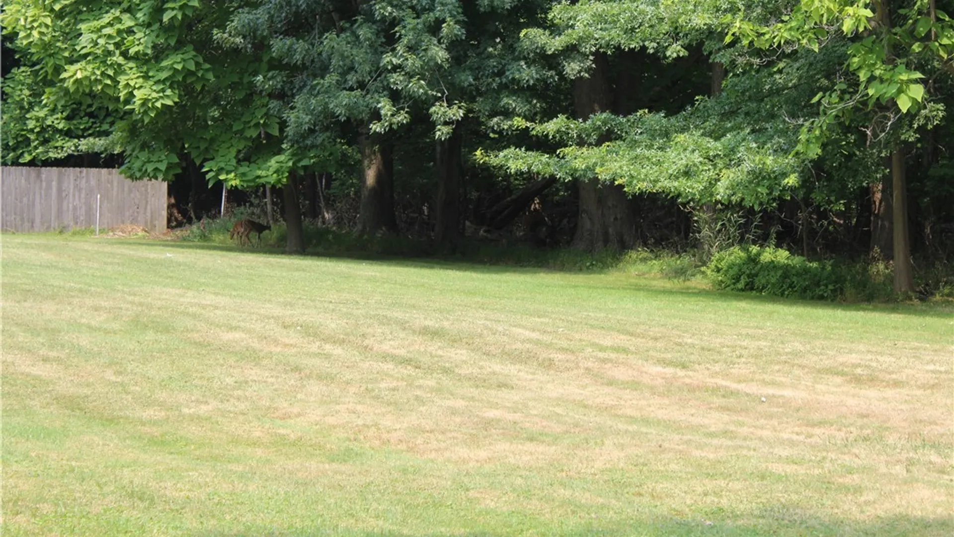 Property at 330 Central Avenue, Pomfret, NY 14063 13