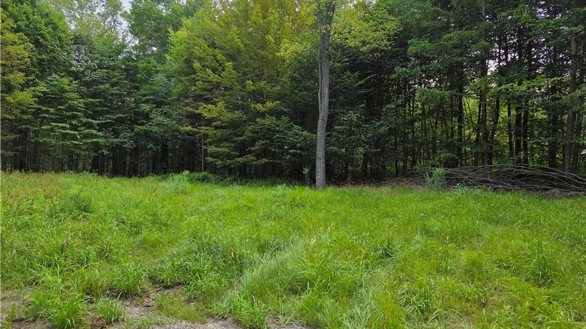 Property at 11024 Pine Drive, Leon, NY 14719 2