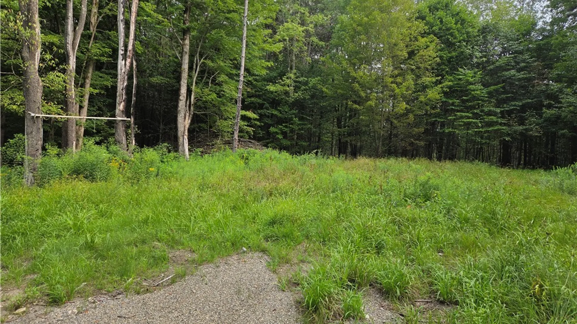 Property at 11024 Pine Drive, Leon, NY 14719 3