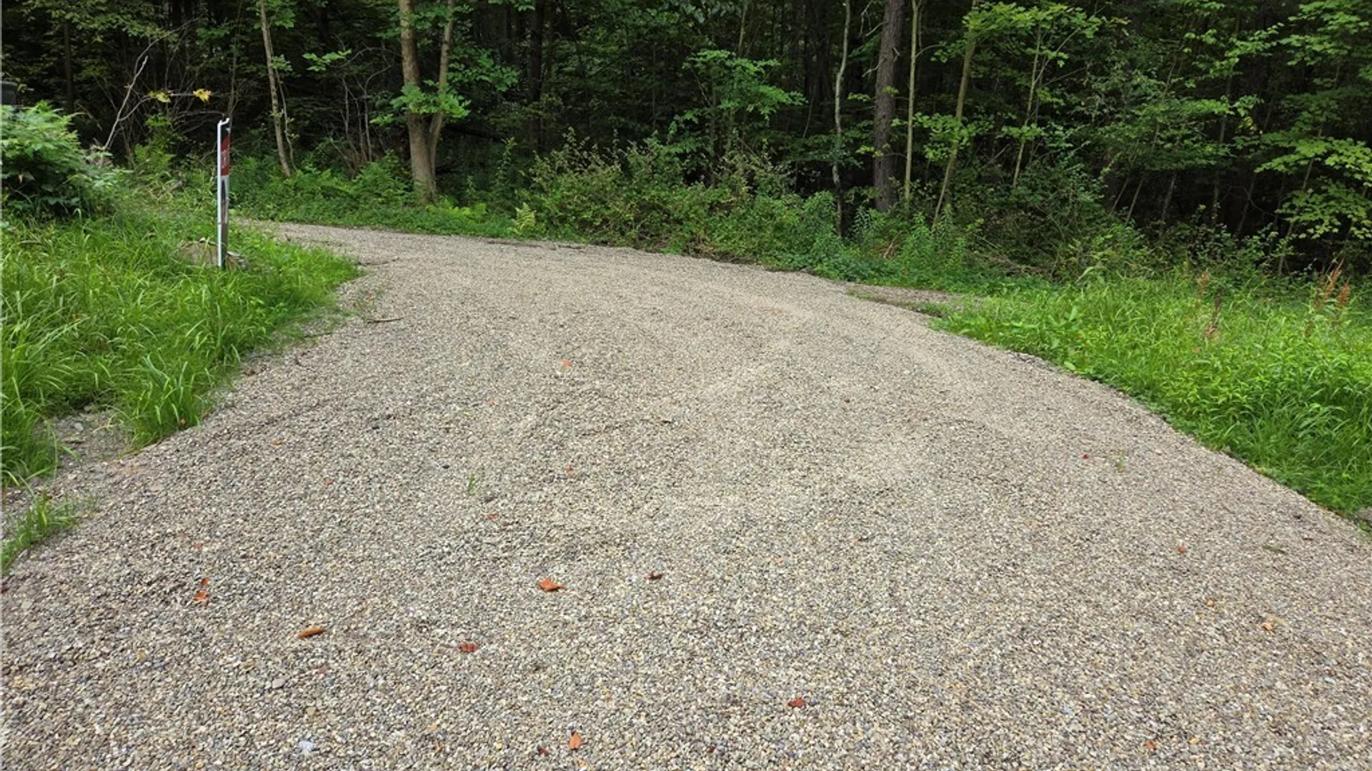 Property at 11024 Pine Drive, Leon, NY 14719 4