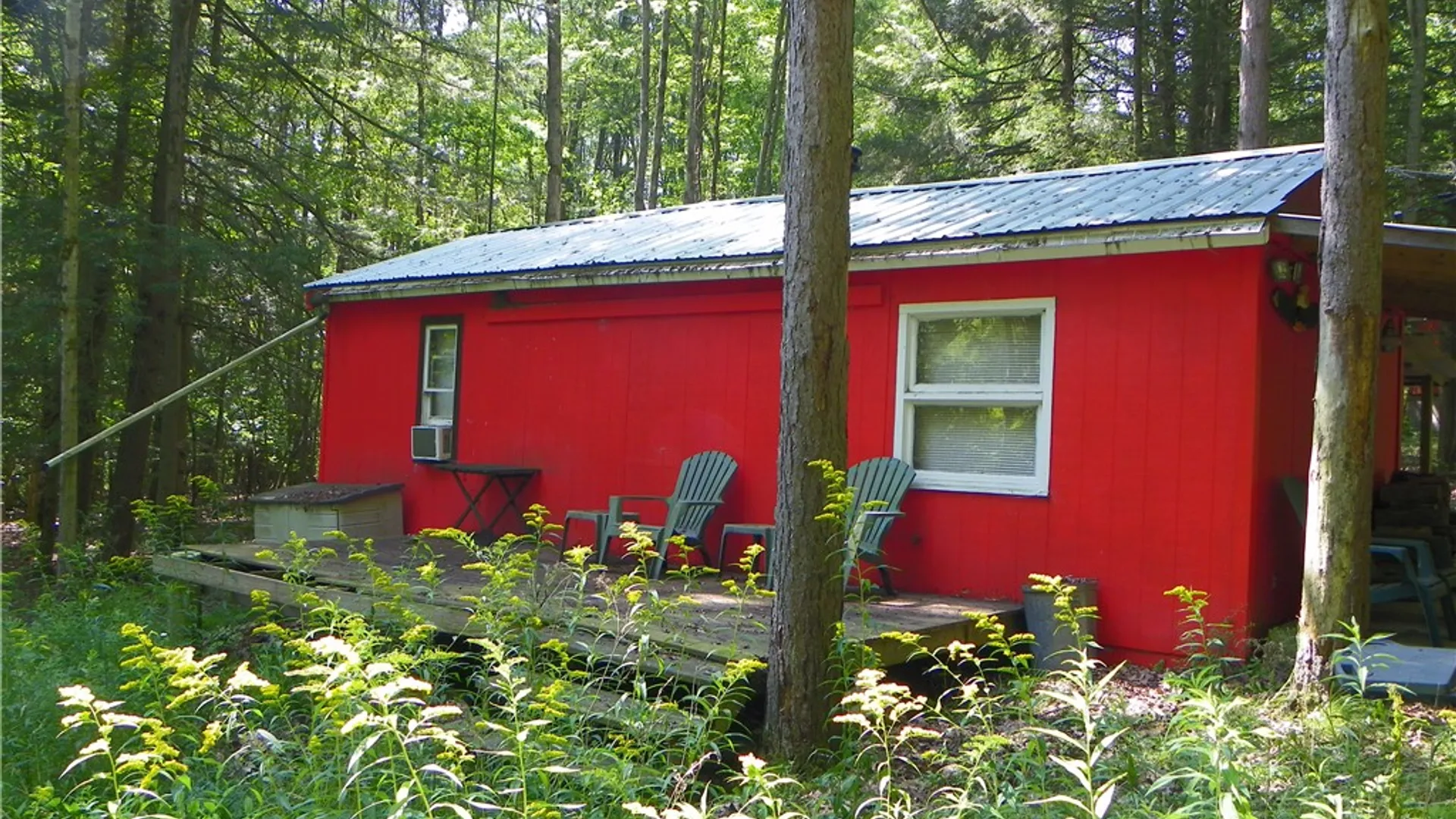 Property at 8021 Hickory Hill Road, Bath, NY 14810 3