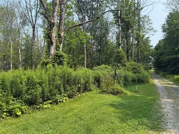 Property at 19 Deer Pond, Orangeville, NY 14569