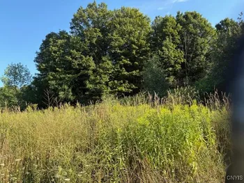 Property at 0 County Route 91, Ellisburg, NY 13636