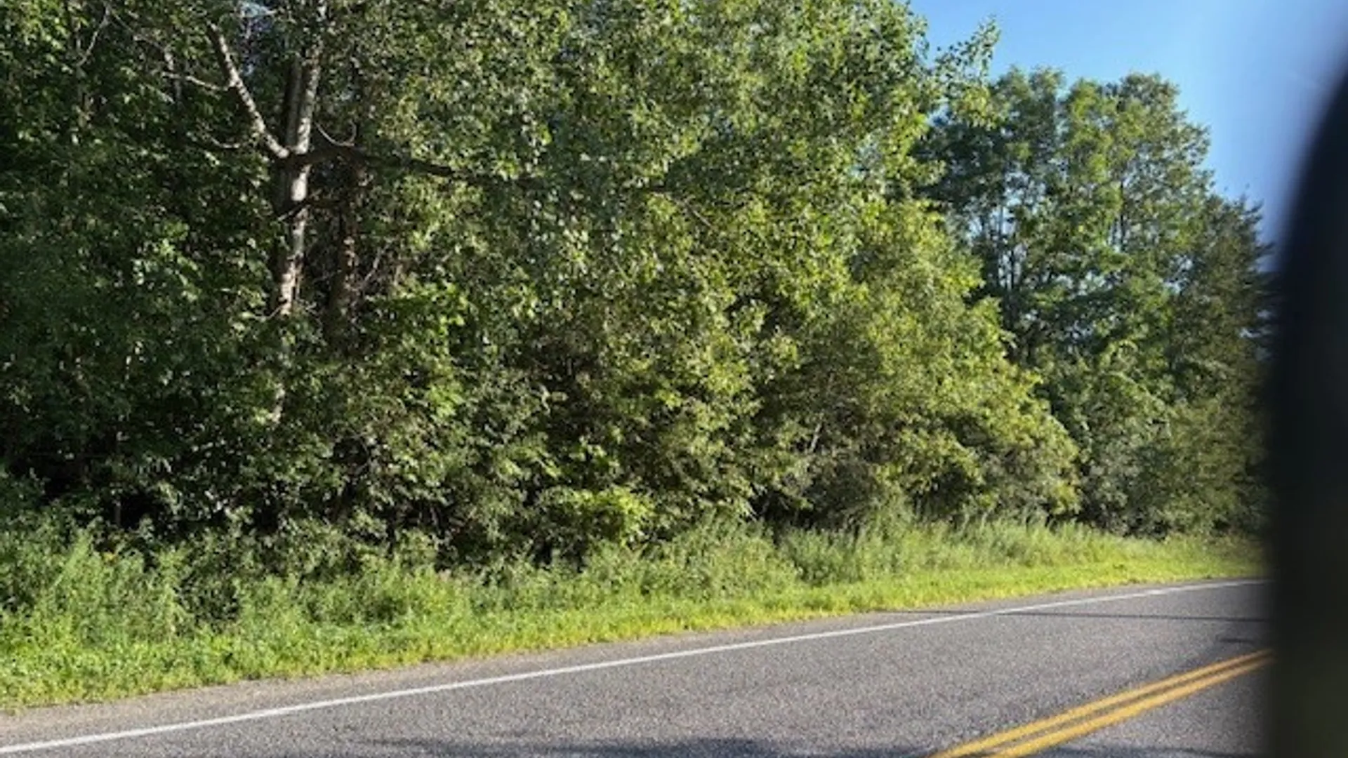 Property at 0 County Route 91, Ellisburg, NY 13636 2