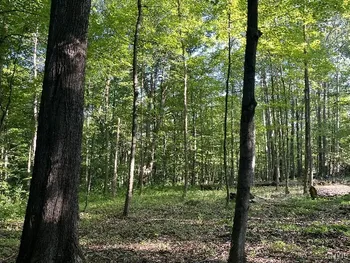 Property at Conesus Sparta Townline Road, Sparta, NY 14437
