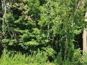 Property at V/L Boston State Road, Boston, NY 14025