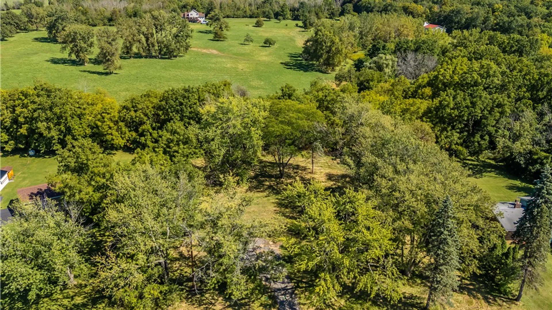 Property at 4187 East Lake Road (State Route 364) Lot 2, Gorham, NY 14424 5