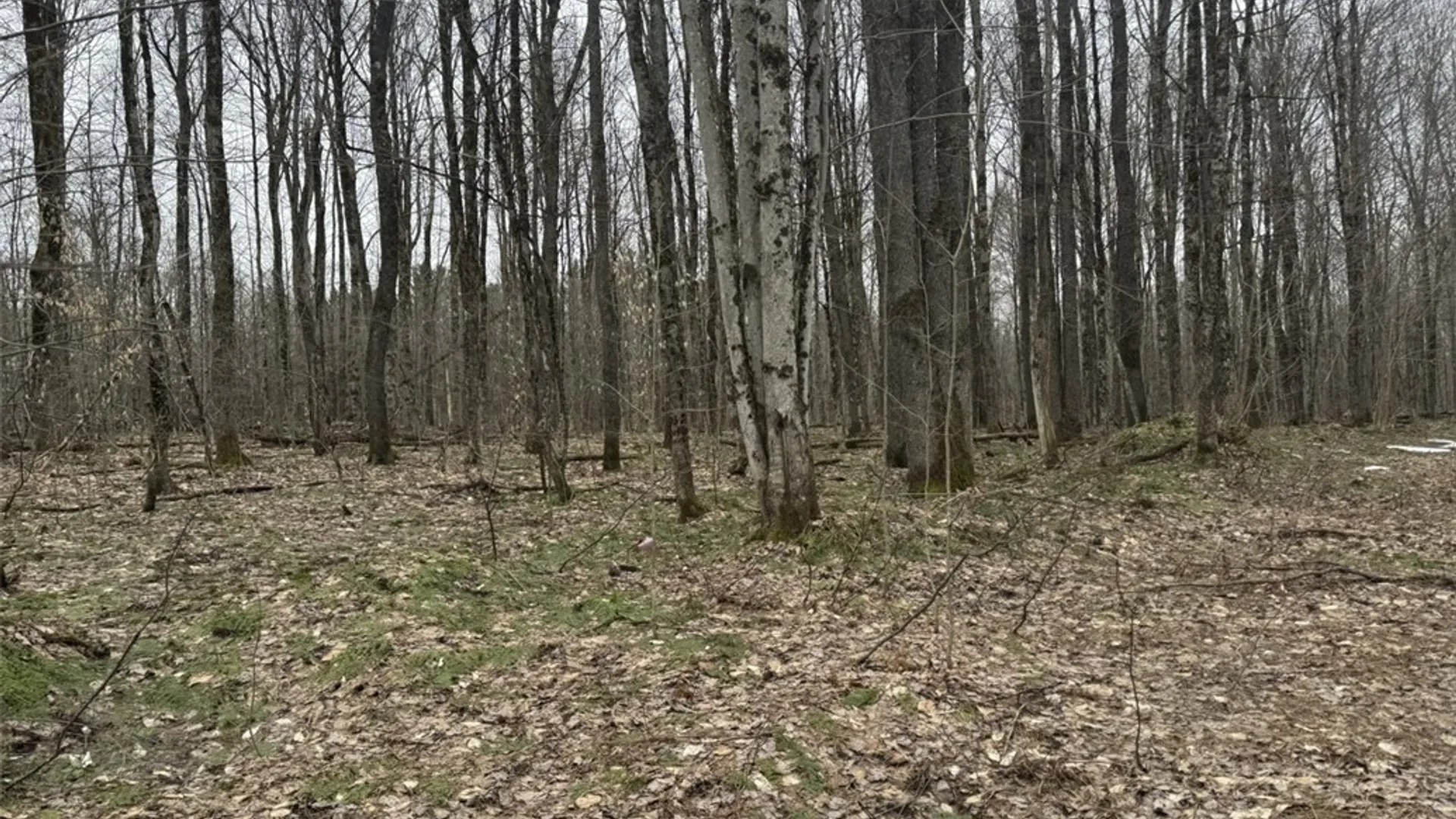 Property at 57 Grant Road, Herkimer, NY 13324 5