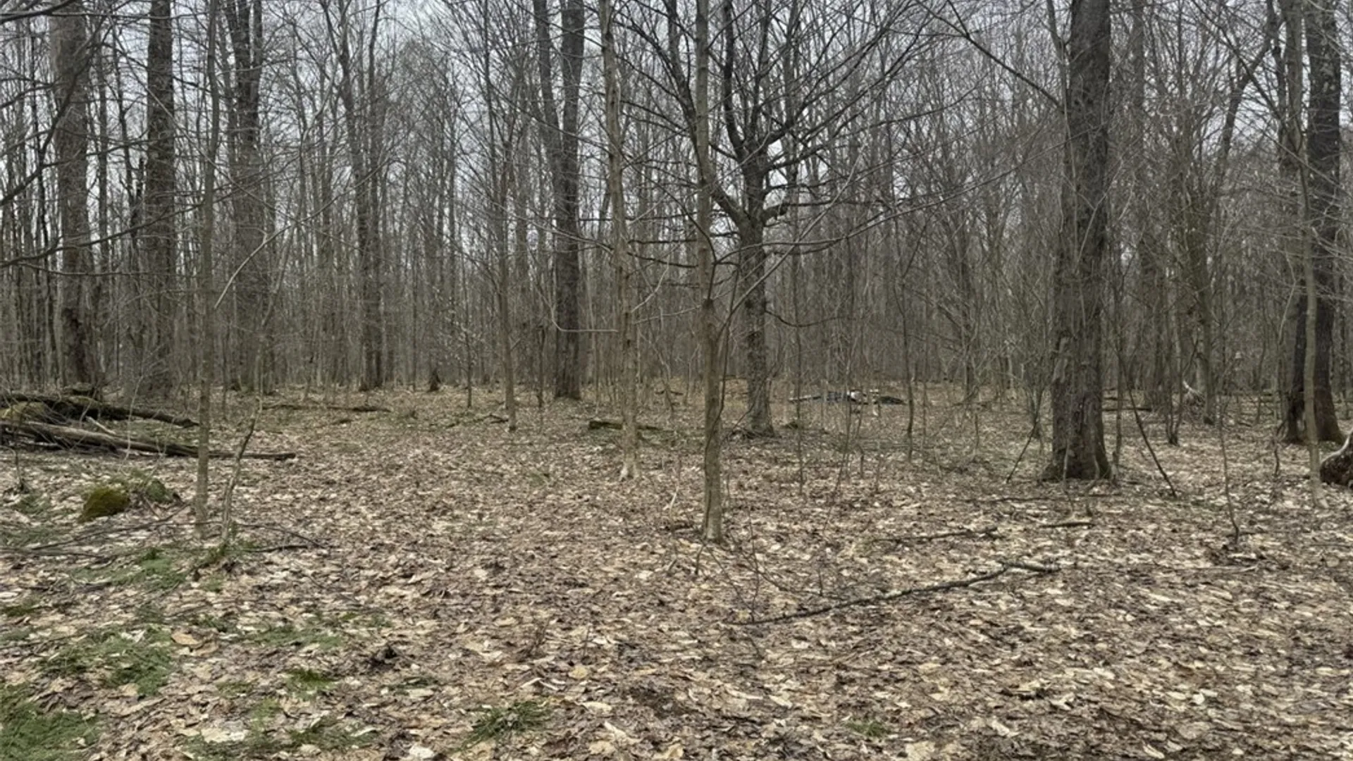 Property at 57 Grant Road, Herkimer, NY 13324 6