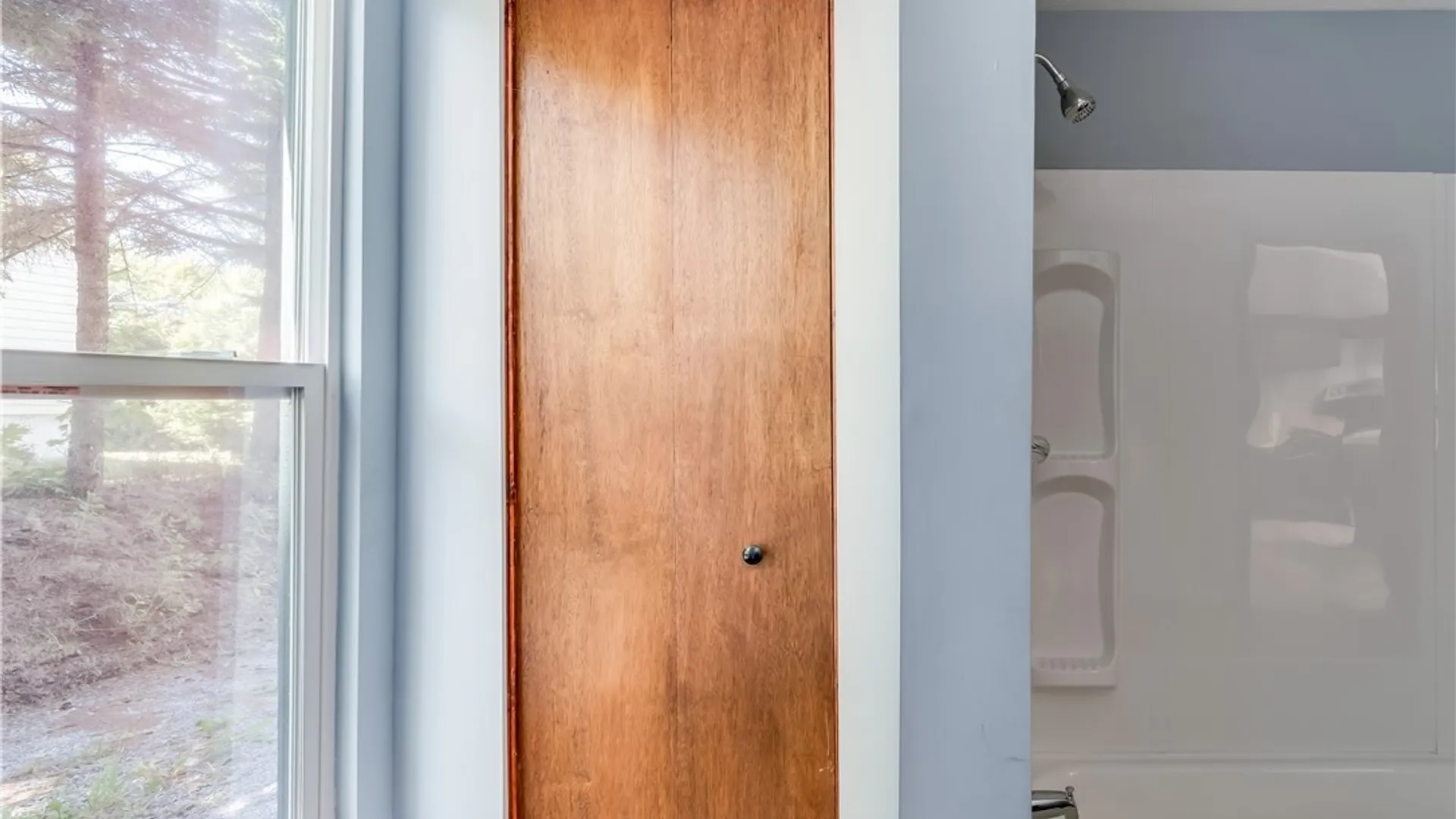 Property at 14196 State Street, Diana, NY 13648 17