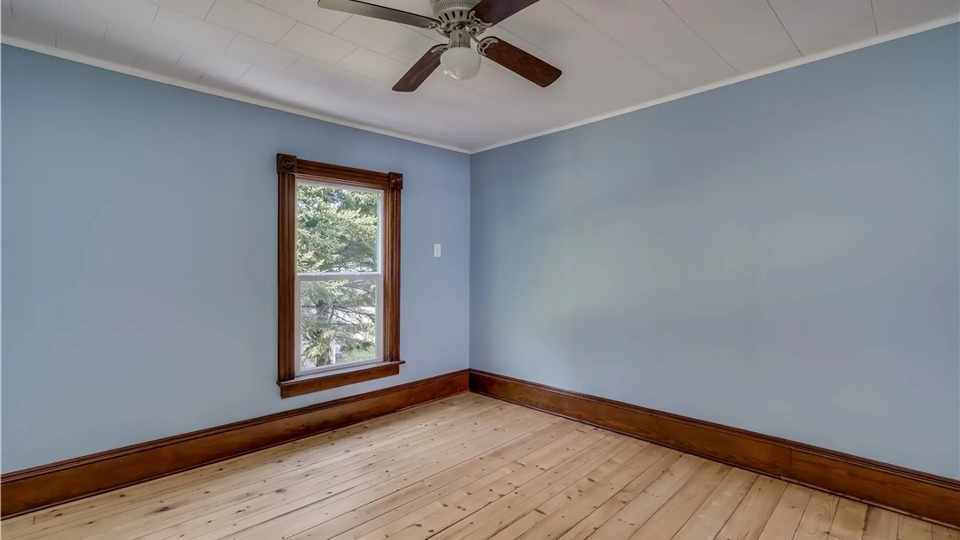 Property at 14196 State Street, Diana, NY 13648 41