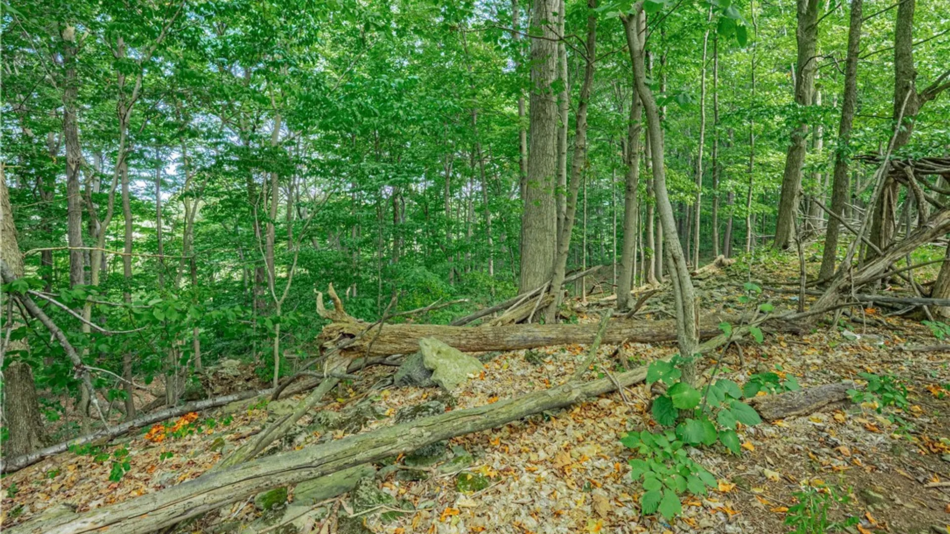 Property at 17 Gothic Ledge, Lockport Town, NY 14094 13