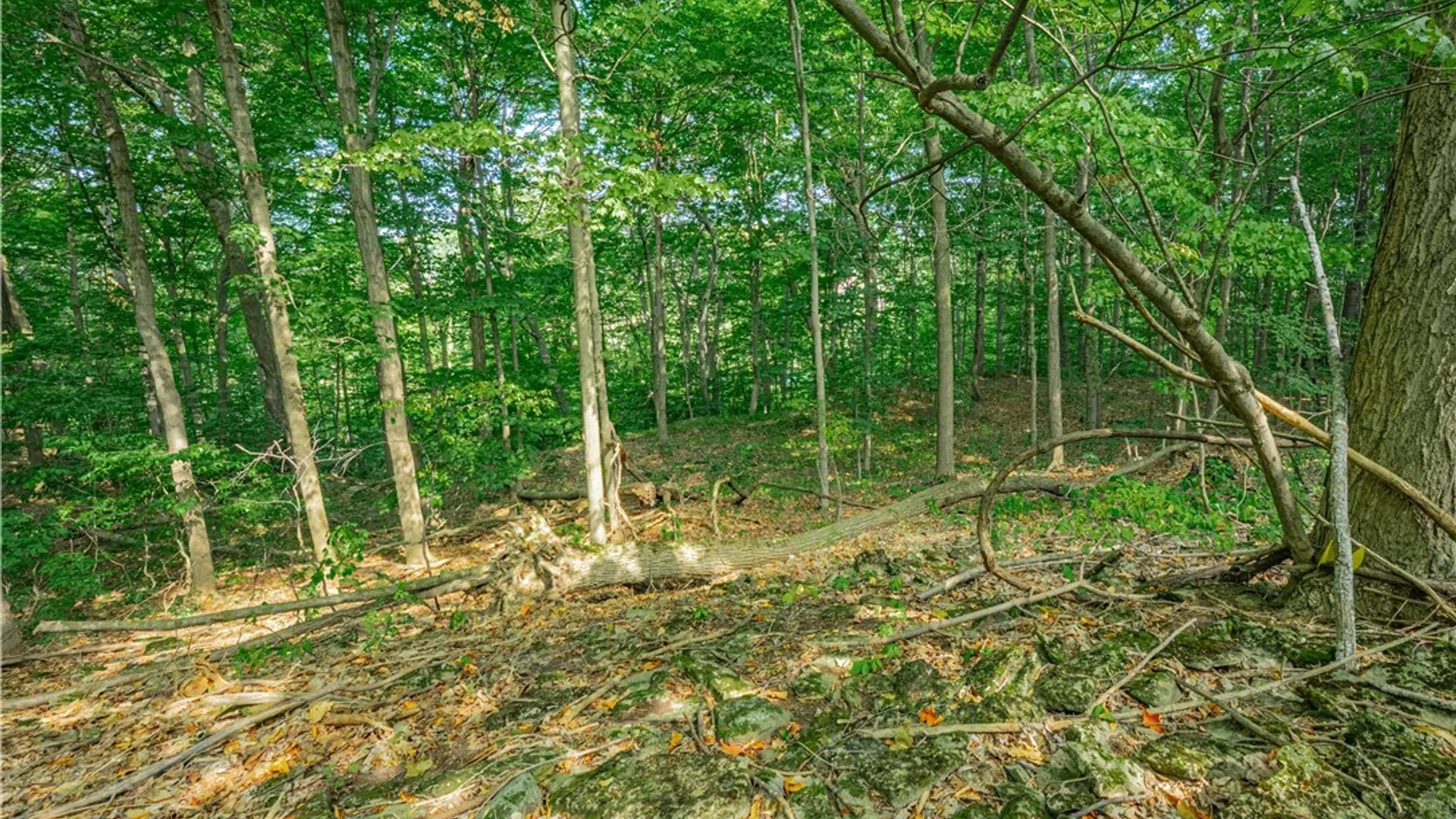 Property at 17 Gothic Ledge, Lockport Town, NY 14094 14