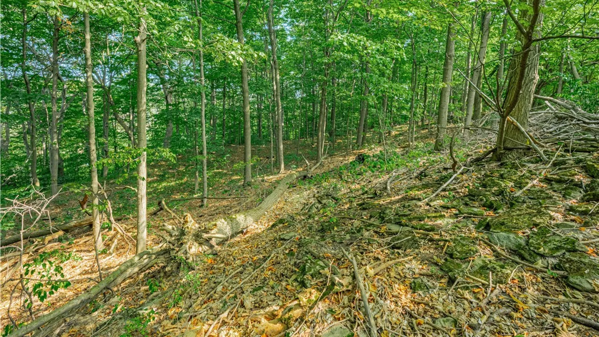 Property at 17 Gothic Ledge, Lockport Town, NY 14094 18