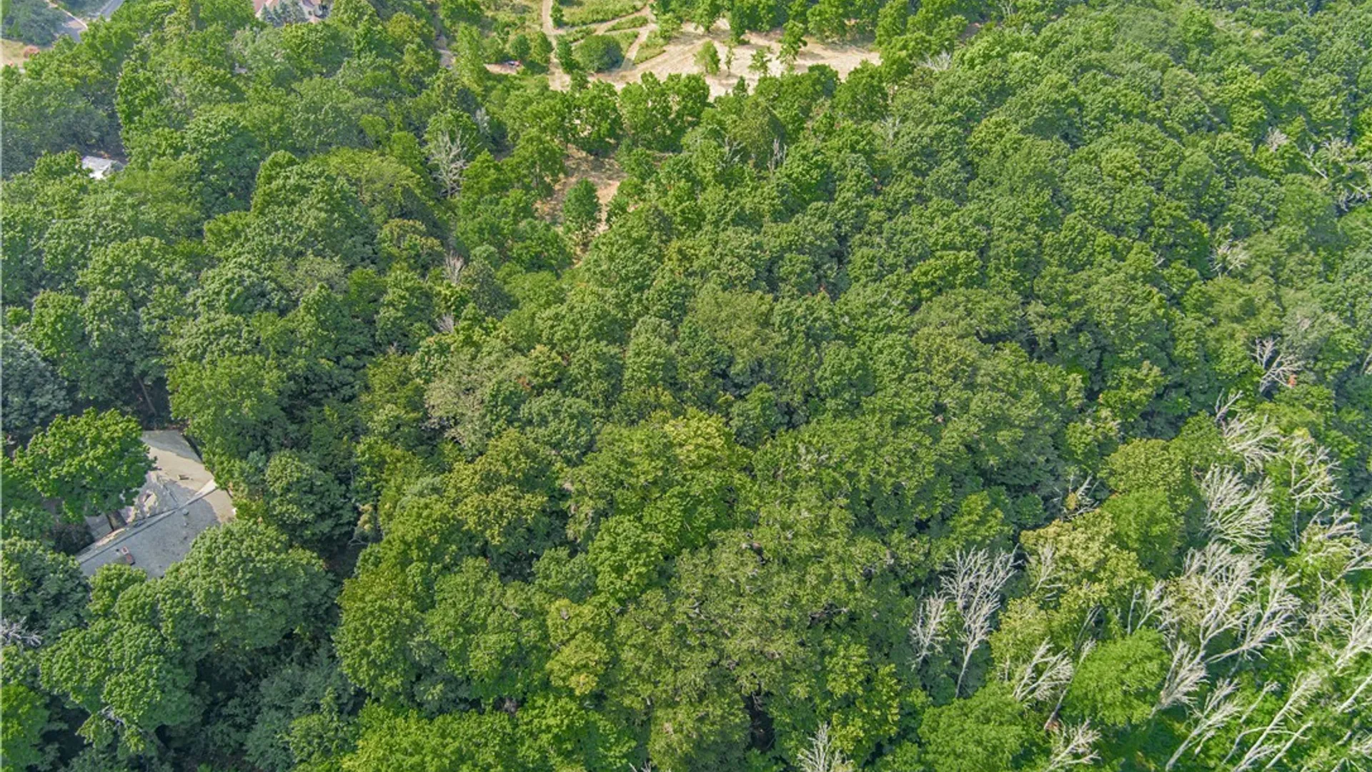 Property at 17 Gothic Ledge, Lockport Town, NY 14094 24