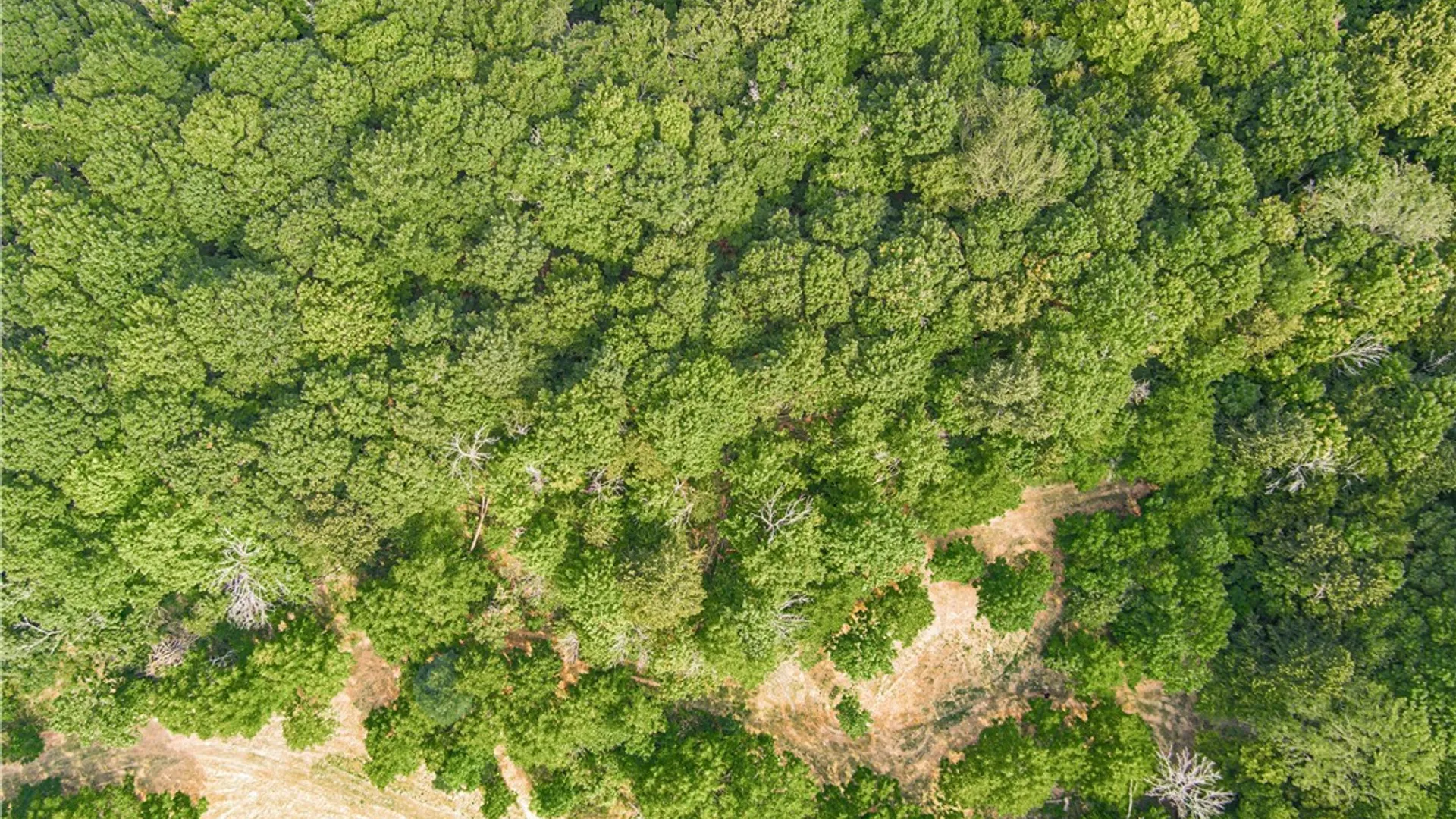 Property at 17 Gothic Ledge, Lockport Town, NY 14094 31