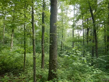 0 Starks Road, Newfield, NY 14867