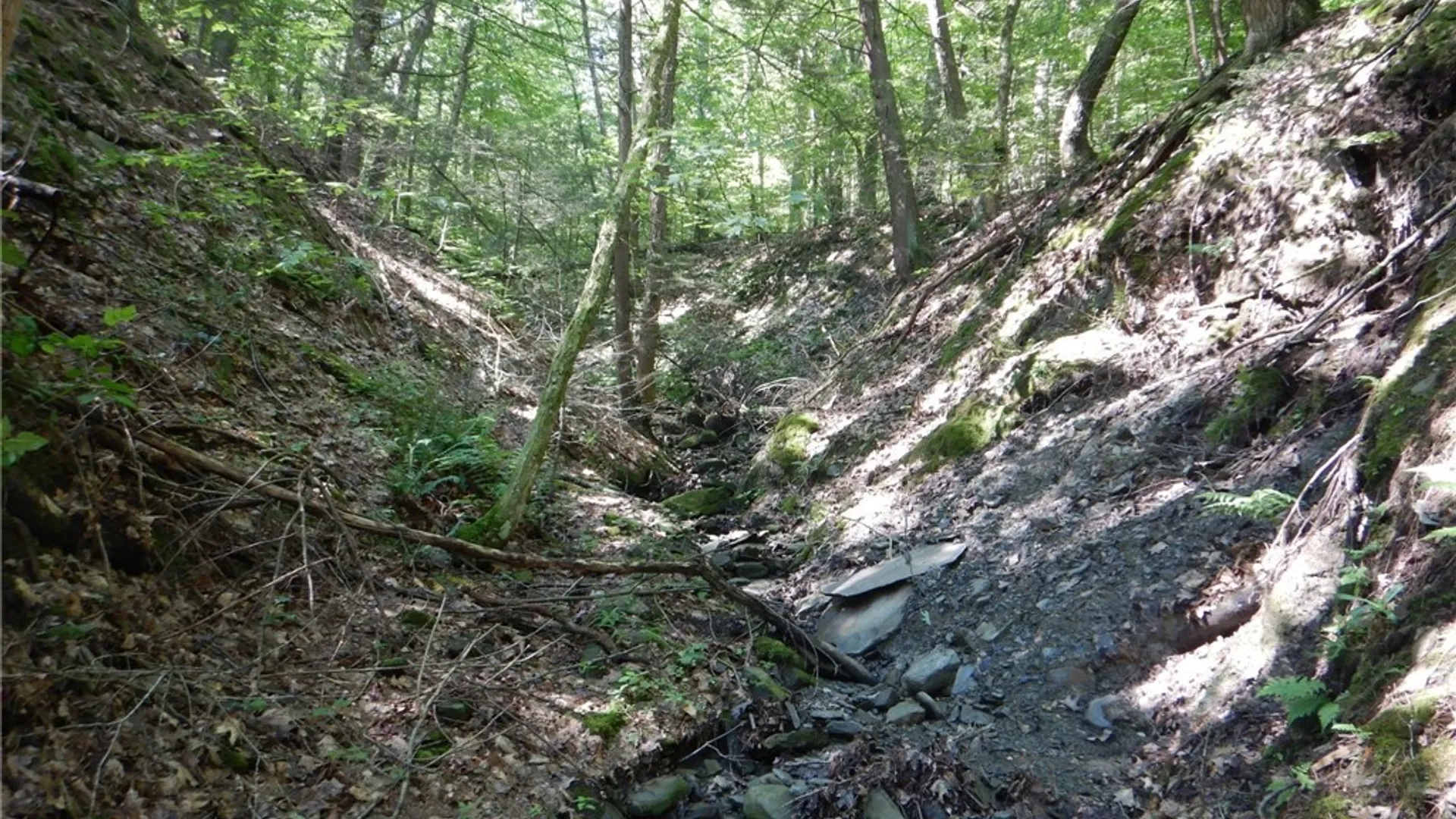 Property at 0 Starks Road, Newfield, NY 14867 2