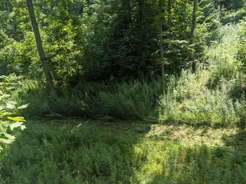 Property at VL Bowers Road, Stockton, NY 14718
