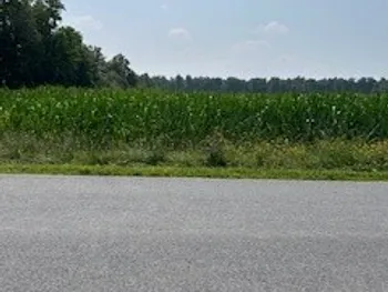 Property at 0 Skillet Road, Scipio, NY 13147