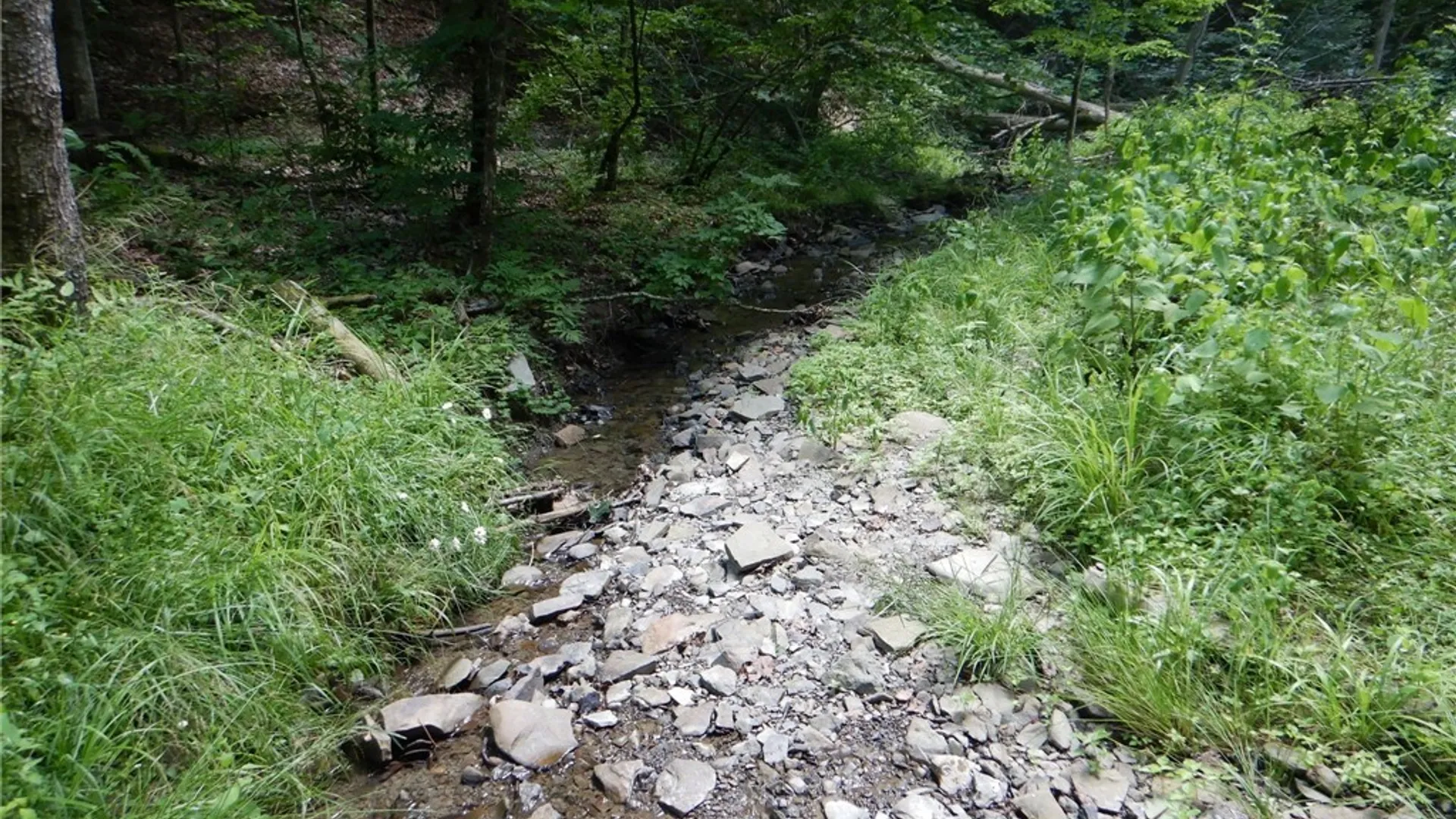 Property at Chaffee Creek Road, Newfield, NY 14867 12