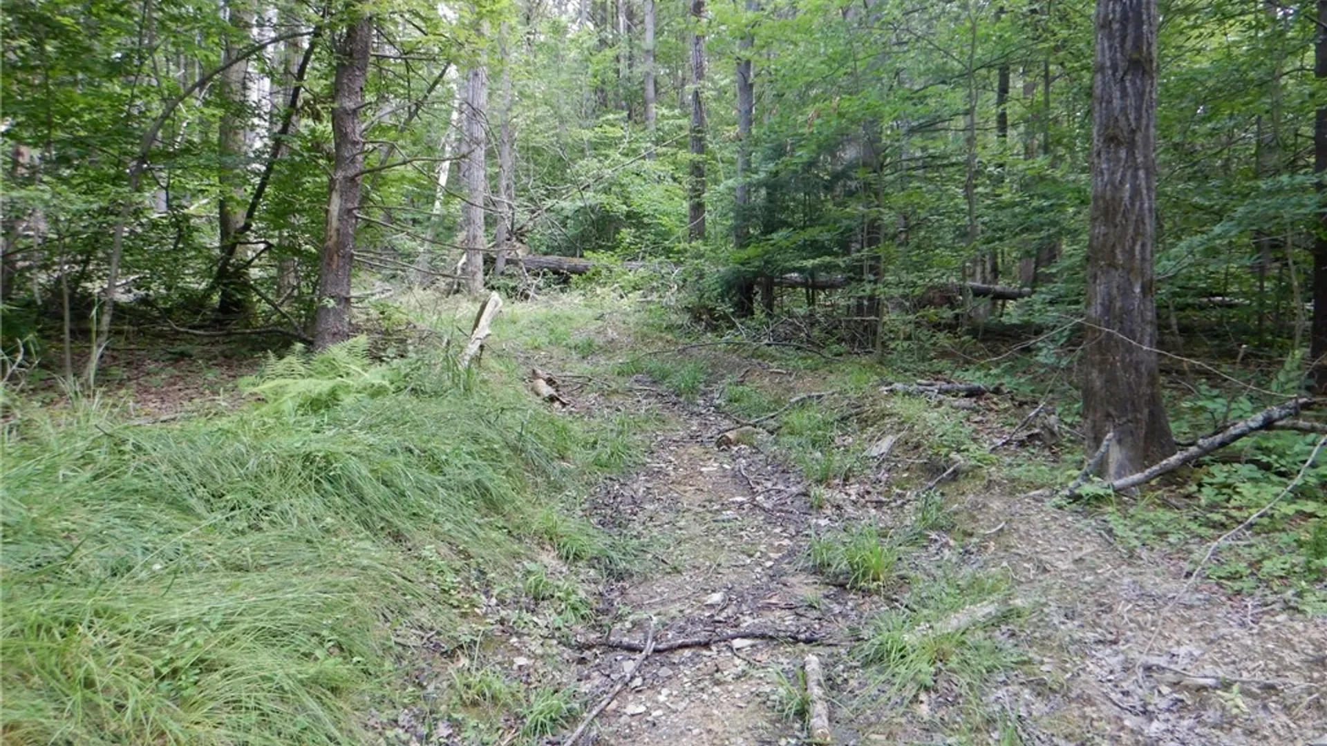 Property at Chaffee Creek Road, Newfield, NY 14867 16