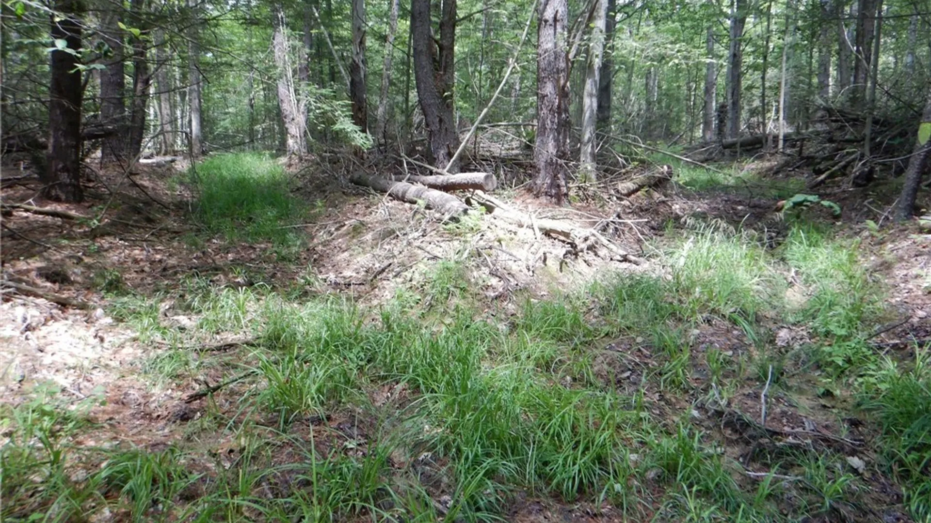 Property at Chaffee Creek Road, Newfield, NY 14867 18