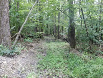 Property at Chaffee Creek Road, Newfield, NY 14867