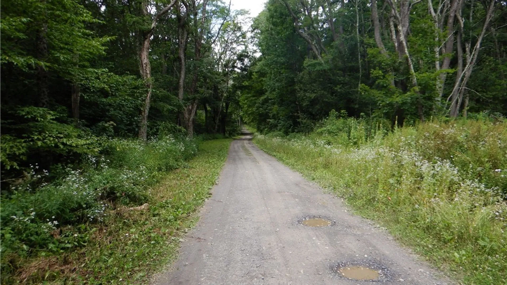 Property at Chaffee Creek Road, Newfield, NY 14867 20