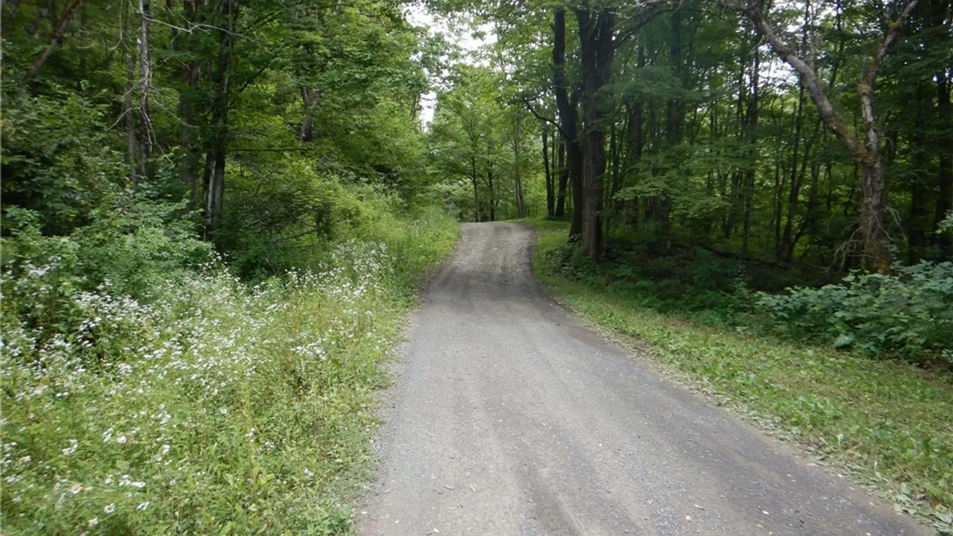 Property at Chaffee Creek Road, Newfield, NY 14867 21