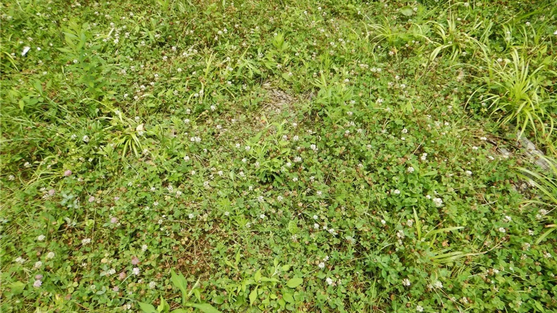 Property at Chaffee Creek Road, Newfield, NY 14867 4