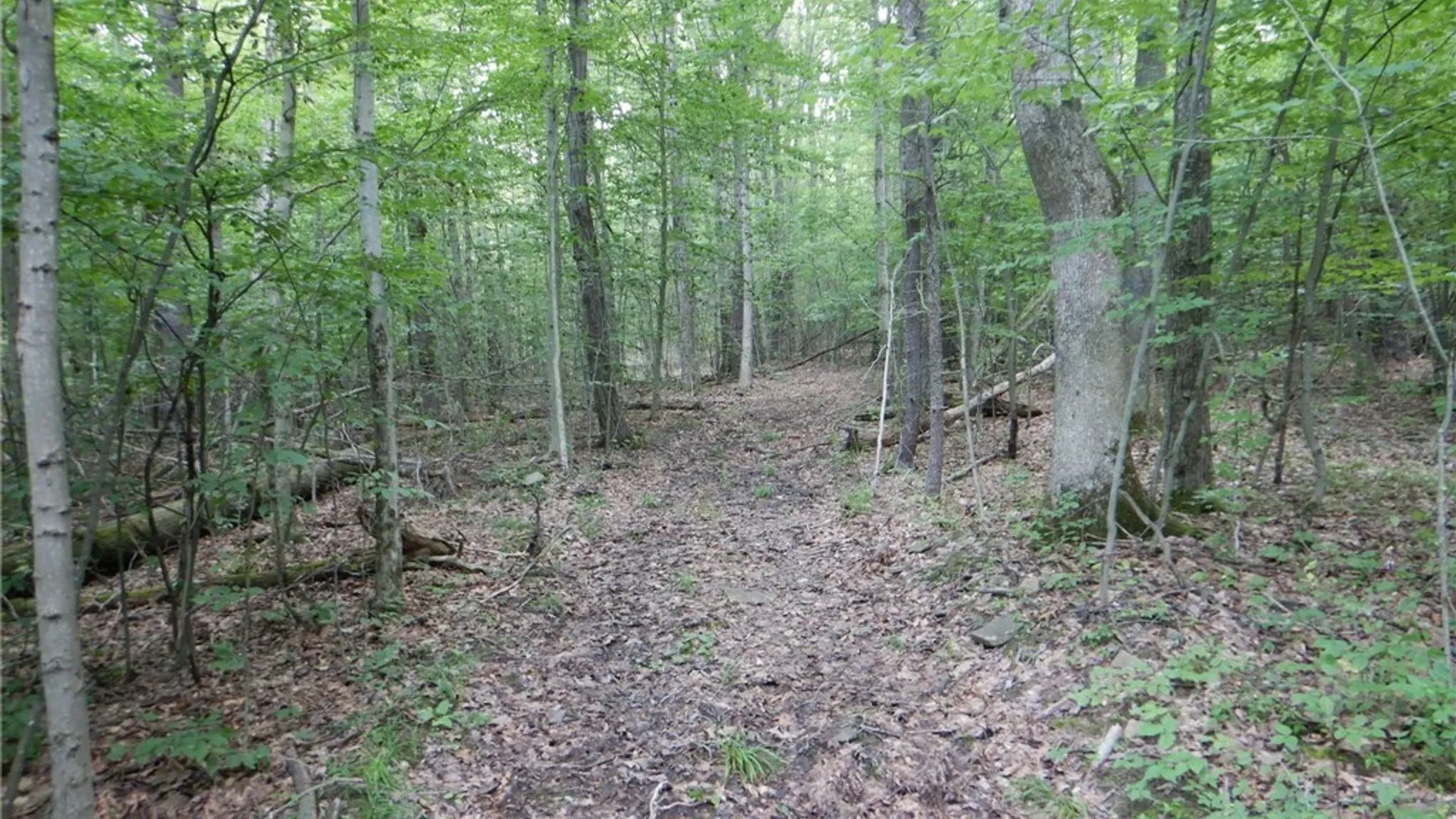 Property at Chaffee Creek Road, Newfield, NY 14867 9